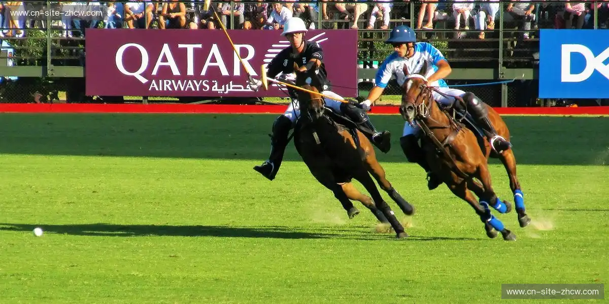 体育组织逻辑呈现趋势化发展